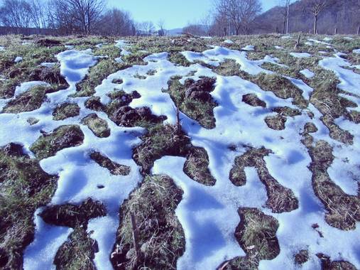Manelsersol en Hamelin: Paisaje  (Olot), #Invierno2020 #Invierno20 
Heladas y nieve fundiendose creando formas artisticss y caprichosas.
