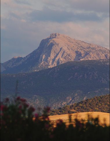 RamBol  en Hamelin: Paisaje  (Villamartín), Sierra de grazalema #montaña #eltorreon #villamartin#rural # grazalema#cadiz #sierradegrazalema 