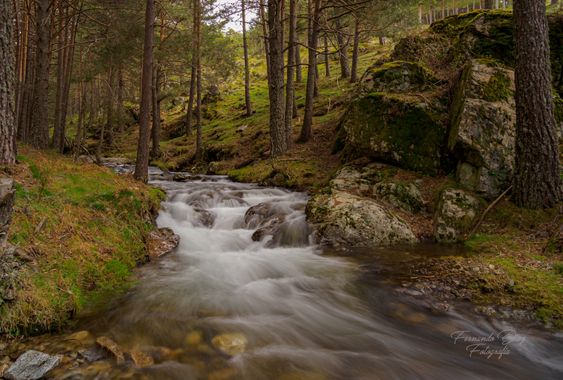 fdhphotos en Hamelin: Paisaje  (El Espinar), #naturaleza 