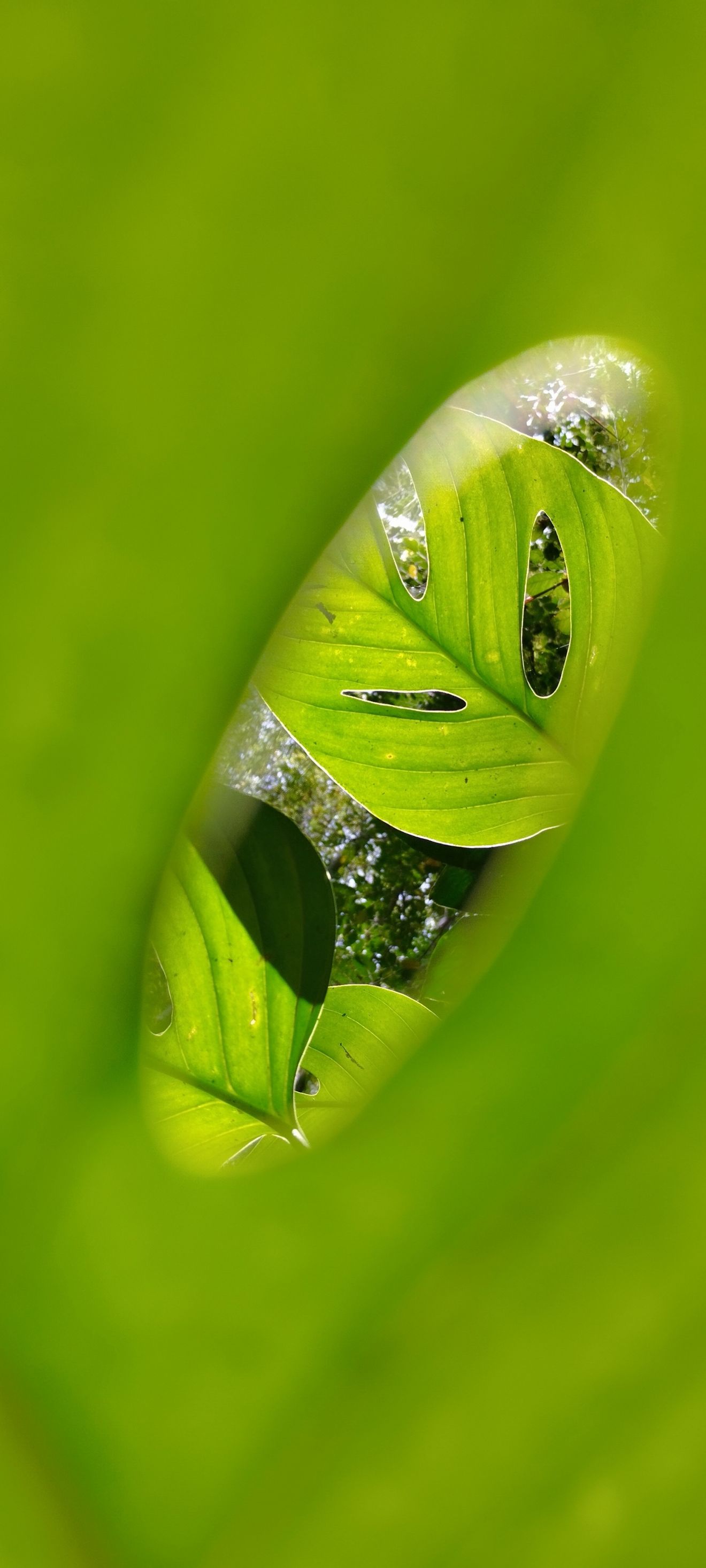 Fotografía ganadora de la semana