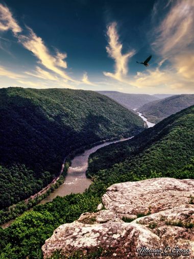 goins.melaniec en Hamelin: Paisaje  (Buckingham County), A view from New River Gorge Park in West Virginia 