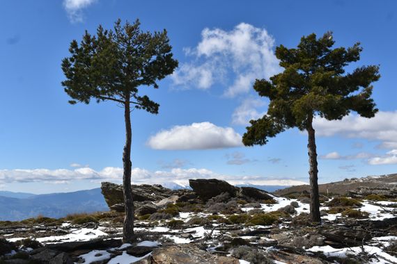 Solerantonio2 en Hamelin: Paisaje  (Bacares), Coinsidencias visuales