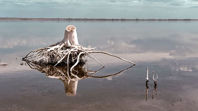 Gabiseva en Hamelin: Paisaje  (Adolfo Alsina), #lago #lake #reflejosenelagua #reflection #epecuen 