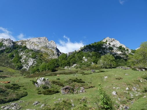 mariale en Hamelin: Paisaje  (Caso), 📸 #marialemdza
💚 🌿🌸🌿💚
#CumpleHamelin
#Naturaleza #BellezaNatural #paisaje 
#Asturias  #Montaña #forest #bosque #...