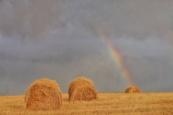 Tonigarduno86 en Hamelin: Paisaje  (Serradilla del Arroyo), #arcoiris 