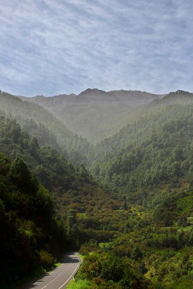 Maria Pérez Gómez en Hamelin: Paisaje, #paisaje #naturaleza #pinoscanarios #verde #lapalma #laislabonita 