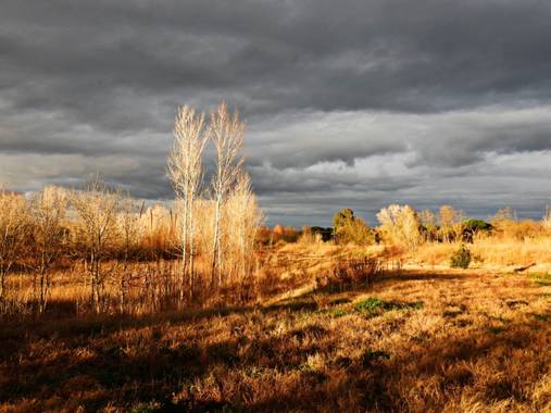 Georginaag en Hamelin: Paisaje  (Tordera), #paisaje #naturaleza #sky #cielososcuros #arboleda 
