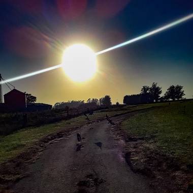 Gabriela Analía Russo en Hamelin: Paisaje  (Mechongué), En la mañana vuelan los pájaros
