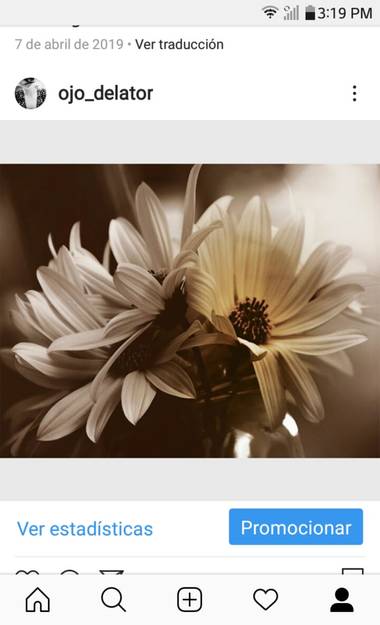 Nat en Hamelin: Flora 