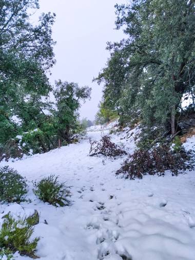 Yai_22 en Hamelin: Paisaje  (Alcoy), #invierno20 