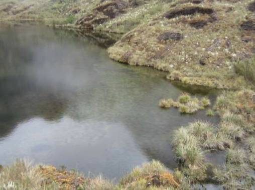 comandojuan83 en Hamelin: Fauna  (Fómeque)