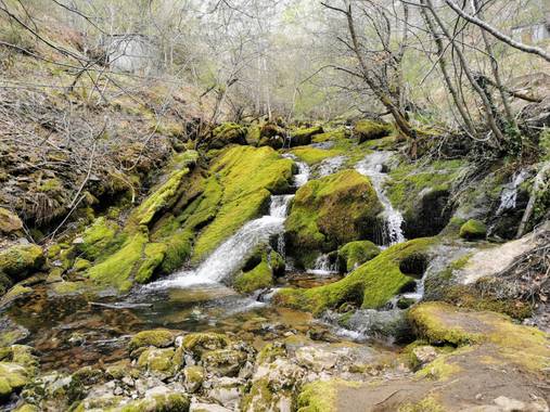 Irantzu_M en Hamelin: Paisaje  (Asparrena), Nacedero del río Zirauntza 