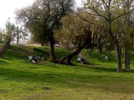 andrade151354488 en Hamelin: Paisaje  (General Conesa), #isabella 