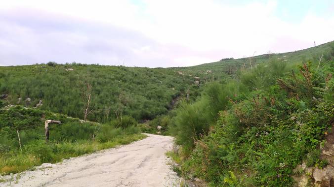 David en Hamelin: Paisaje  (As Neves), #Soledad #Verde #Green #Paisaje #Landscape #Natureza #Naturaleza #Nature #Pontevedra #Galicia #Galiza #España #Spain...