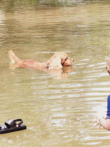 Andrés Nuñez Gallego en Hamelin: Fauna  (Entrerrios), #perros