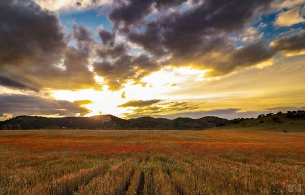 Franciscoperez25 en Hamelin: Paisaje  (Linares), Atardeceres del distrito minero de Linares ( Jaén ). 