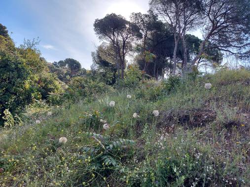 Apasnau75 en Hamelin: Paisaje  (Málaga), Preciosos parajes en los Montes de Málaga.