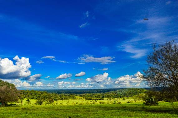 Camiloacca94 en Hamelin: Paisaje  (Vistahermosa), #sol #verde #arbol #paisajes #naturaleza #nature #biodiverdidad #biodiversidadcolombia #paisajescolombian...