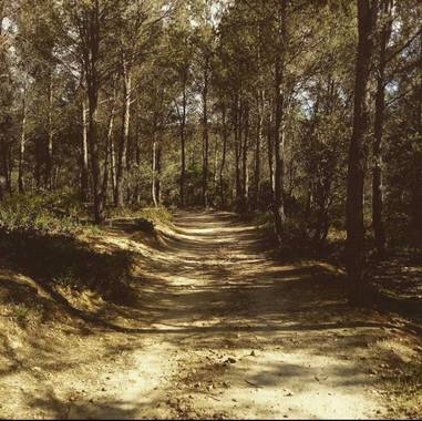 Fedilop en Hamelin: Paisaje  (Arganda del Rey)