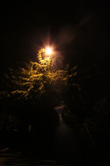 XxPrOzMeNxX en Hamelin: Paisaje, #amarillo #arbol #baum #black #darkness #dunkelheit #fotografia #fotografie #gelb #grün #green #licht #light #luz #negro ...