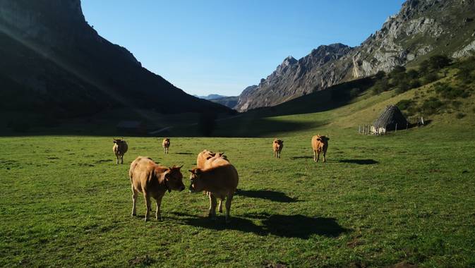 nurixi1991s en Hamelin: Fauna  (Aguino)