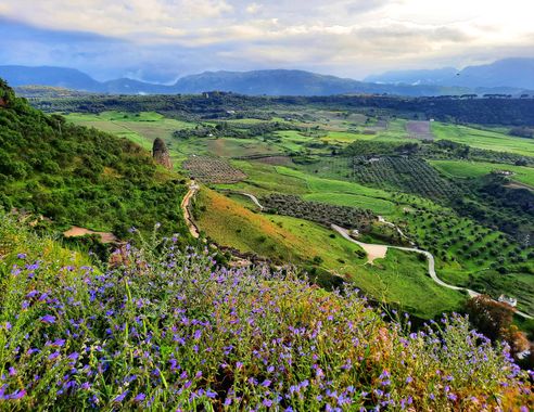 Naomi en Hamelin: Paisaje  (Ronda), #paisajenatural#CumpleHamelin
