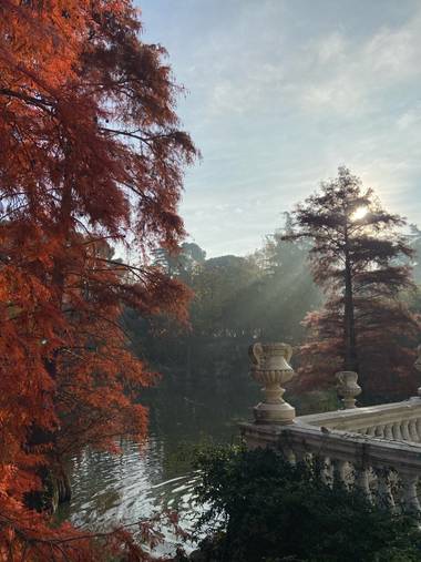 _ohmammamia_ en Hamelin: Paisaje  (Madrid), #parquesyjardines #madrid #parquemadrid #parquedelbuenretiro #palaciodecristal @_ohmammamia_ #_ohmammamia_ #ham...