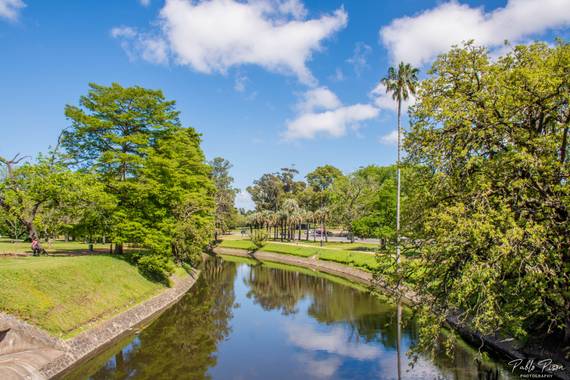 Pablo.pison en Hamelin: Paisaje  (Montevideo), #ParquesyJardines #Prado #Arboles #Naturaleza #hamelin2020 