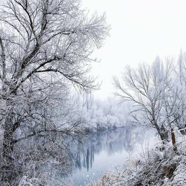 Conchivh en Hamelin: Paisaje  (Valladolid), #invierno20#pisuergavalladolid
