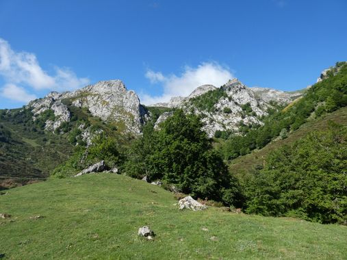 mariale en Hamelin: Paisaje  (Caso), 📸 #marialemdza
💚 🌿🌸🌿💚
#CumpleHamelin
#Naturaleza #BellezaNatural #paisaje 
#Asturias  #Montaña #forest #bosque #...