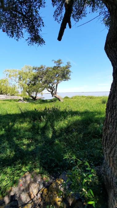 K.loresosa en Hamelin: Paisaje 