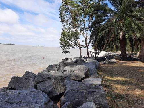 K.loresosa en Hamelin: Paisaje  (Tacuarembó)
