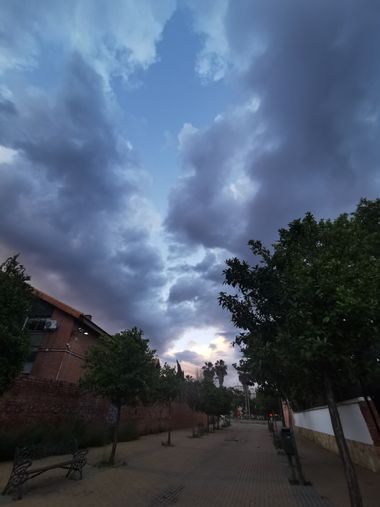 Marien1conectando en Hamelin: Flora, #Córdoba (España). Finaliza la lluvia 