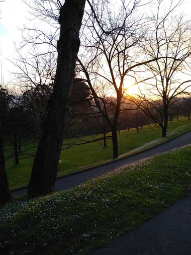 Nativi70 en Hamelin: Paisaje  (Llanera), #paisajesdeasturias #paisajesnaturales 