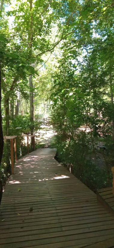 maaiii.r en Hamelin: Flora, #naturaleza 🍃