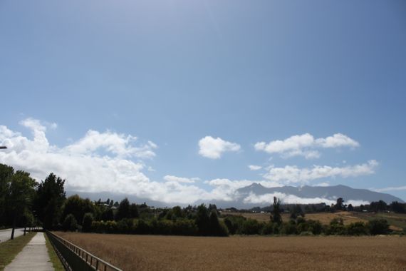 XxPrOzMeNxX en Hamelin: Paisaje, #arboles #bäume #camino #chile #cielo #fotografia #fotografie #gras #grass #landscape #landchaft #natur #naturaleza #natu...