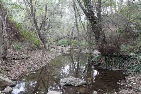 Toni Sempa en Hamelin: Paisaje  (Santa Ana la Real), Ruta de los Libros y Riscos de Levante.
#agua #rio #landscape #paisaje #rurales #rural #andalucia #hue...