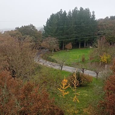 Susandresro en Hamelin: Paisaje  (Lugo), Colores otoñales