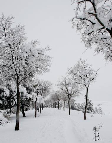 Conbyconv en Hamelin: Paisaje  (Fuenlabrada), #paisaje20 #invierno20