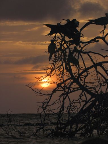 Dimaswaterlover en Hamelin: Paisaje  (Colombia), #sunset #nature #birds #landscape #landscapephotography 