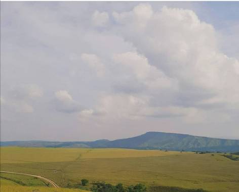 marigoz480 en Hamelin: Paisaje  (Tame), #llanohermoso 