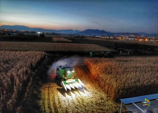 Salambina en Hamelin: Paisaje  (Las Gabias), El trabajo de ésta máquina me parece simplemente fascinante...todos los años espero este día para verla trabaj...