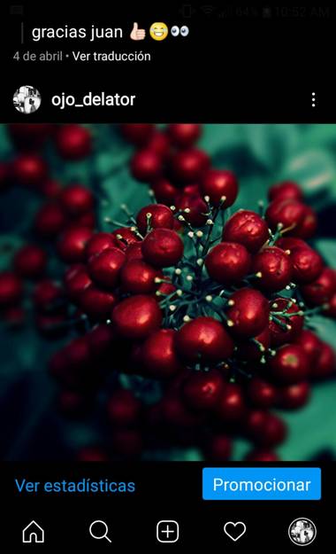 Nat en Hamelin: Flora, #frutosrojos #rojos #naturalezaargentina
