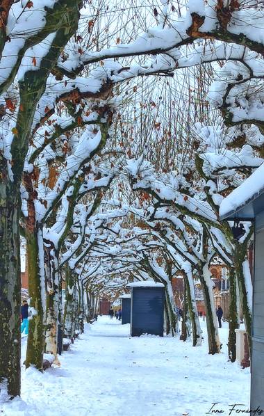 Inma_f en Hamelin: Paisaje  (Alcalá de Henares), #invierno20 