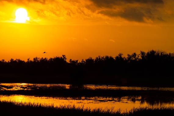 Josealvarezrodriguez en Hamelin: Paisaje, #amanecer dorado