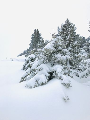 su en Hamelin: Paisaje  (Saanen),  # invierno # nieve 