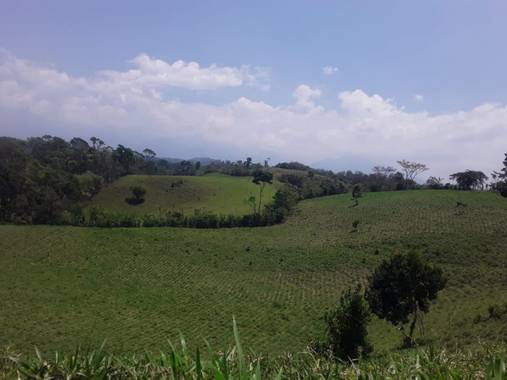 Sherlynvelasquez402 en Hamelin: Paisaje, Sertirse que dar un respiro 
#paises #naturaleza #Darunrespiro