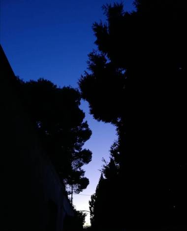 VickyOnTheRocks en Hamelin: Paisaje  (Liria), #micielo #atardecer #desdecasa #mijardin #pinos #cipreses #sweethome #azules #sombras #blackNblue