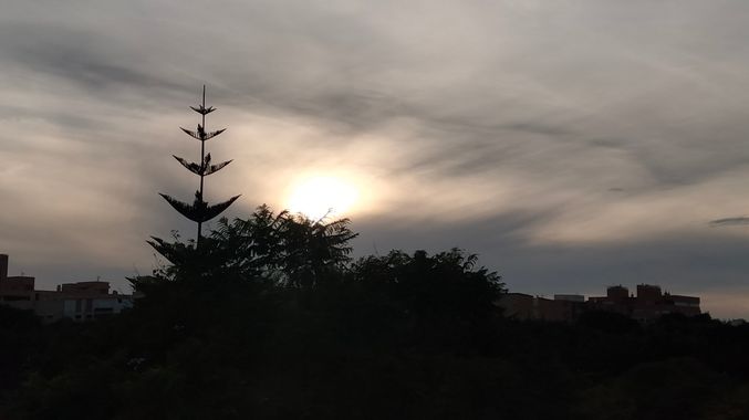 Solerantonio2 en Hamelin: Paisaje  (Almería), Coinsidencias visuales