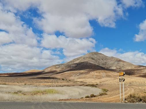 Dianafuerted en Hamelin: Fauna  (Puerto del Rosario)